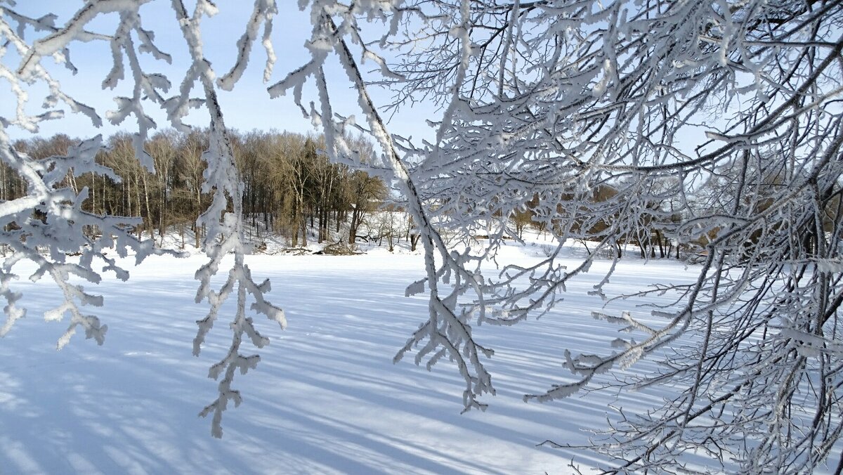 Холодное февральское утро. - Милешкин Владимир Алексеевич 