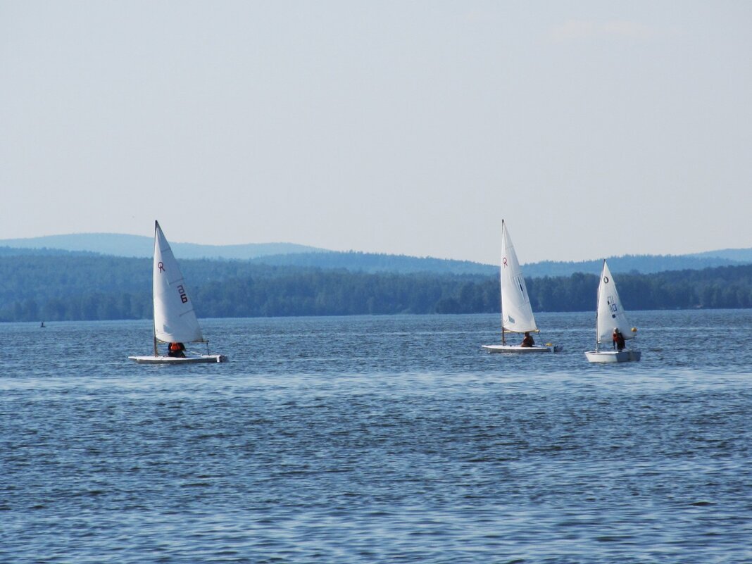 визовский пруд - Елена Шаламова