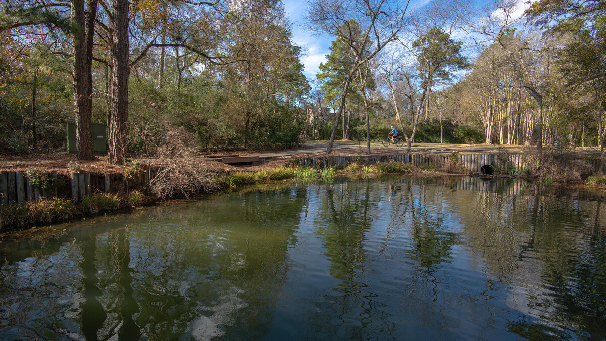 Пруд - **** vedin