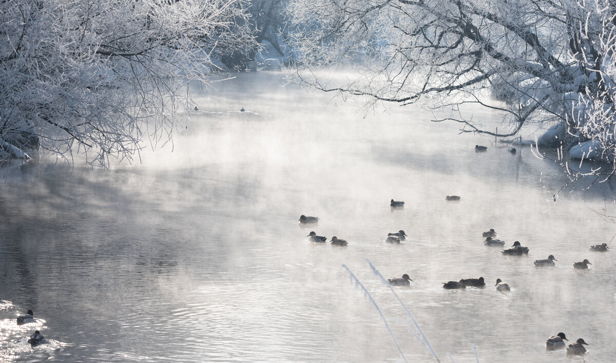 Зимовка на реке. - Владимир Безбородов