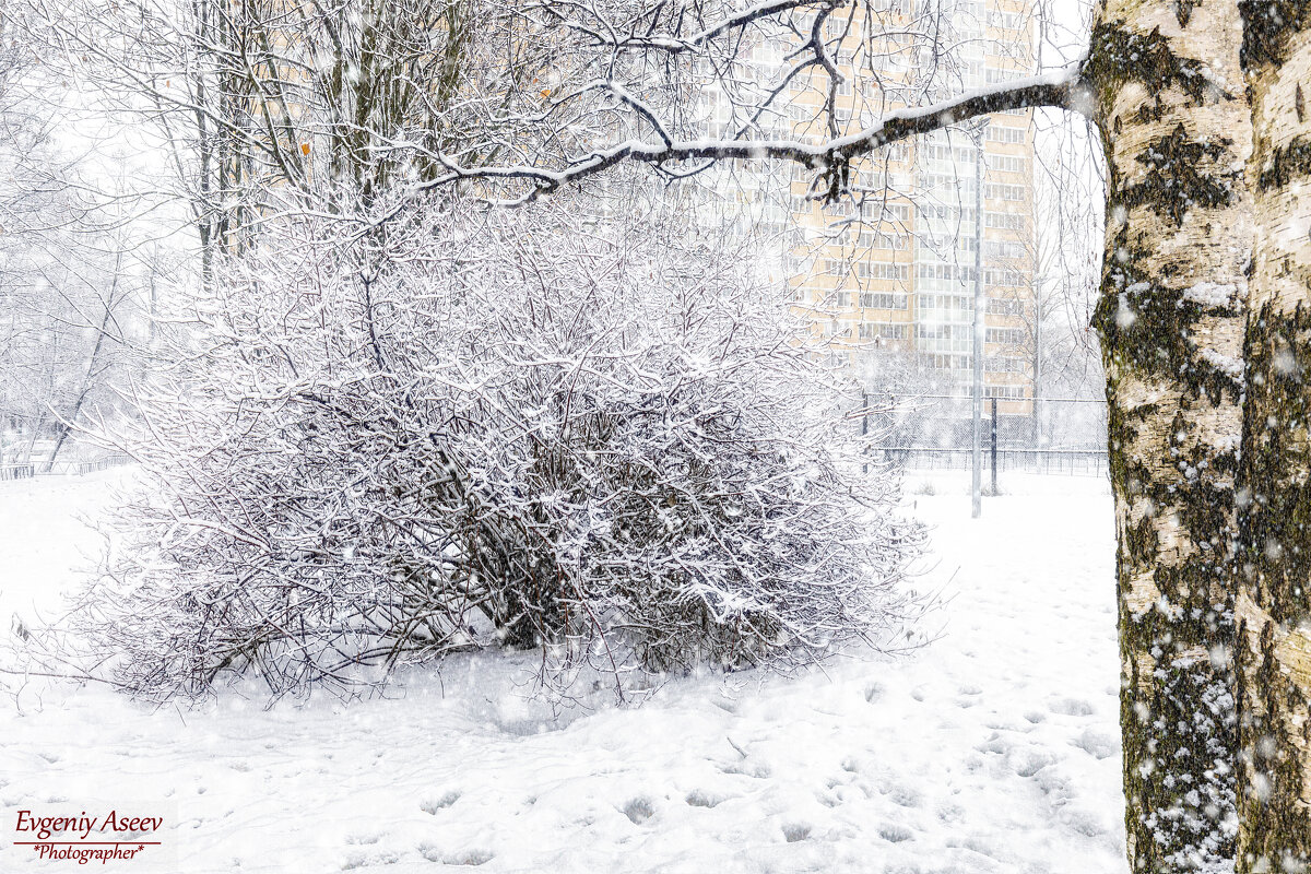 Замело - Евгений Замело - Евгений