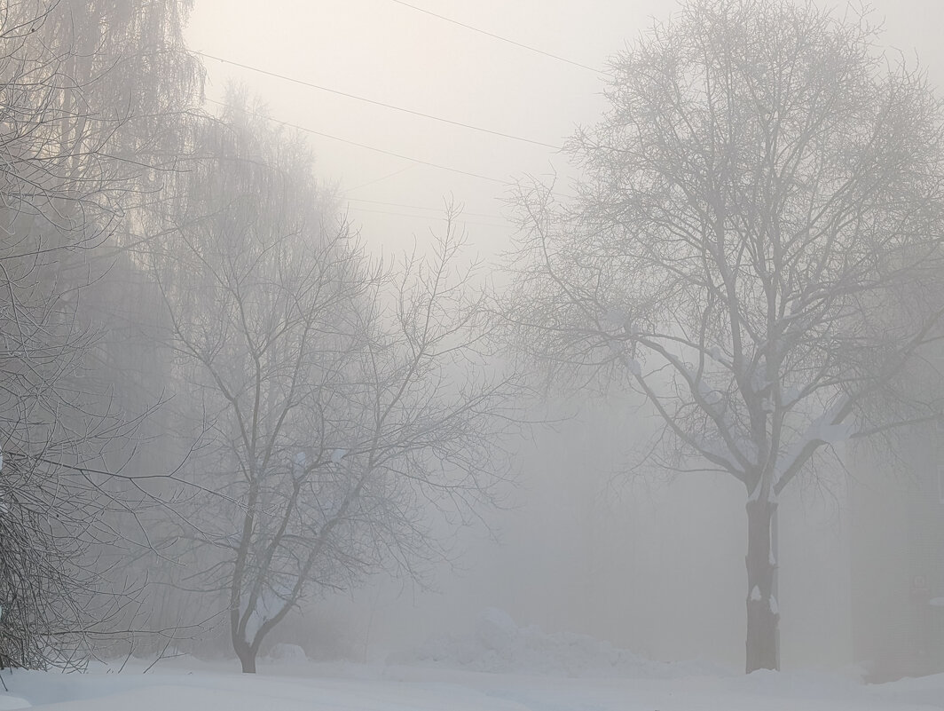 Туманное зимнее утро - Анастасия Логинова