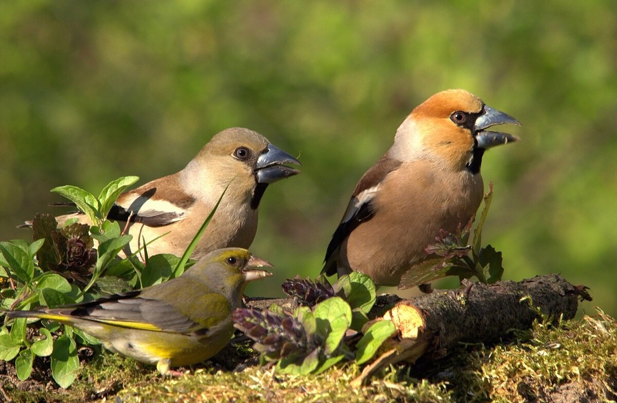 Интересное кино... - Вячеслав Минаев Интересное кино... - Вячеслав Минаев