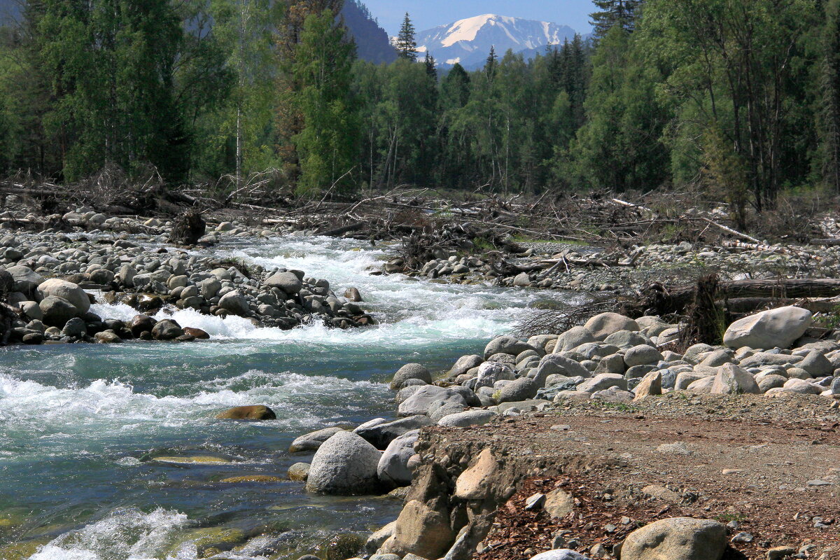 р.Мульта - Vlad Сергиевич