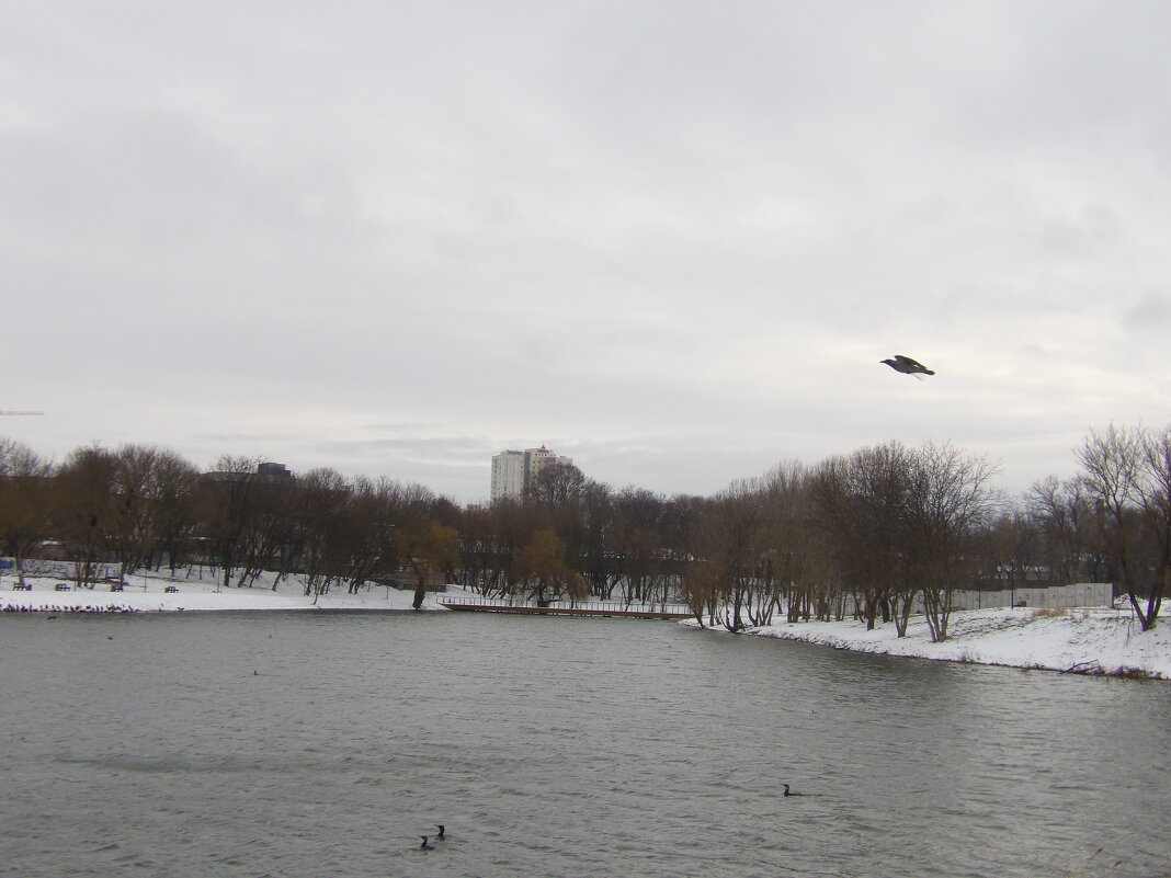 Зимний  пейзаж - Валентин Семчишин