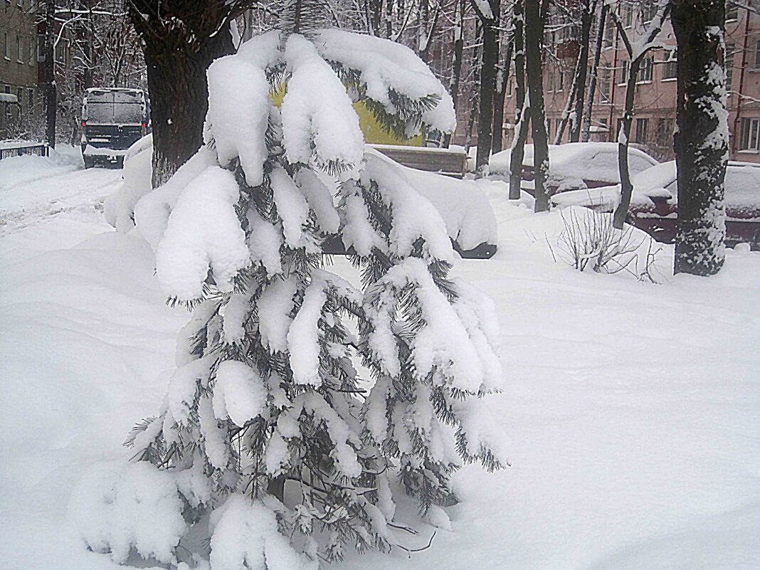 Замело - Елена Семигина