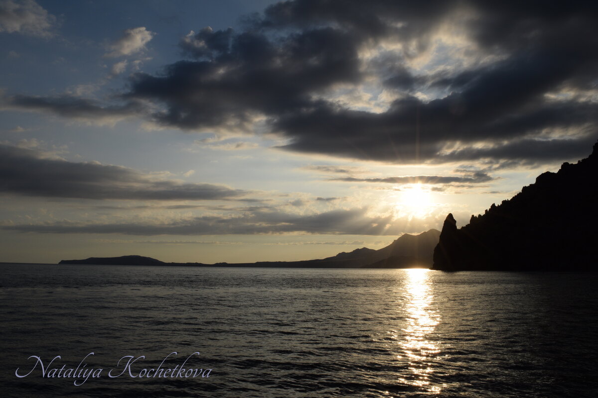 Природа Крыма - Amazing Cosmea