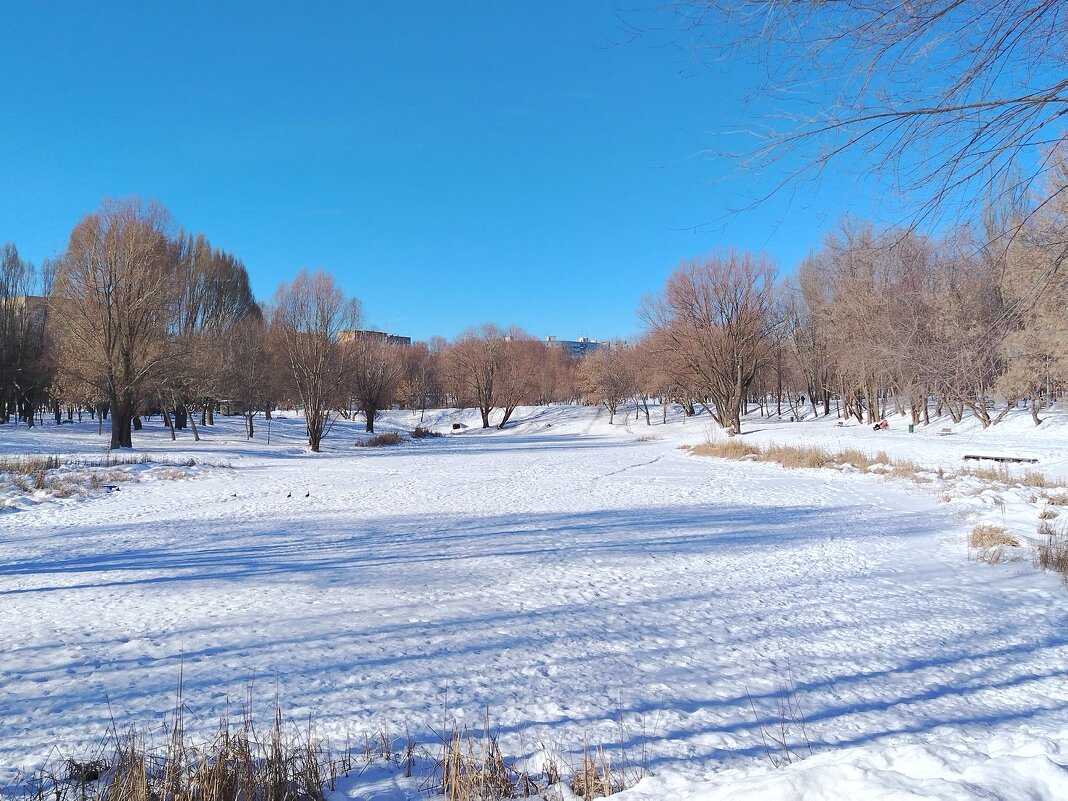 Самара. Воронежские озера зимой - Надежда 