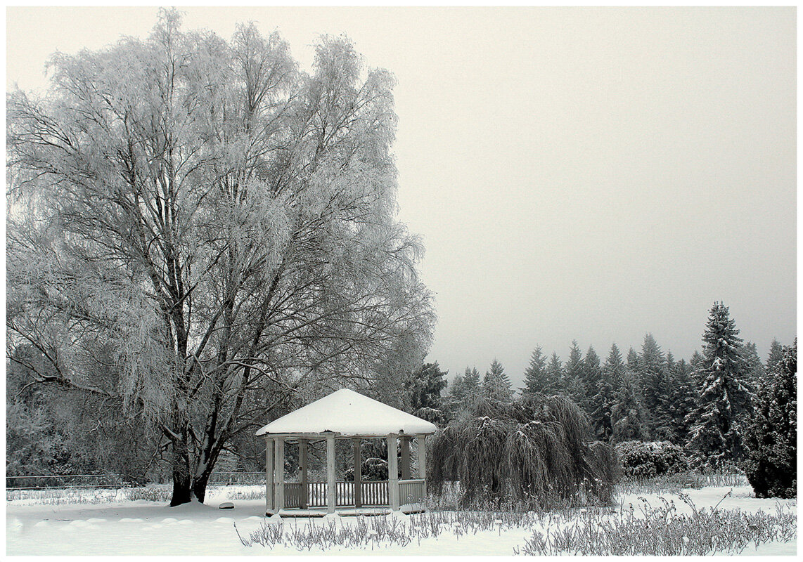 Зимняя беседка - Aleksandr Gal Зимняя беседка - Aleksandr Gal