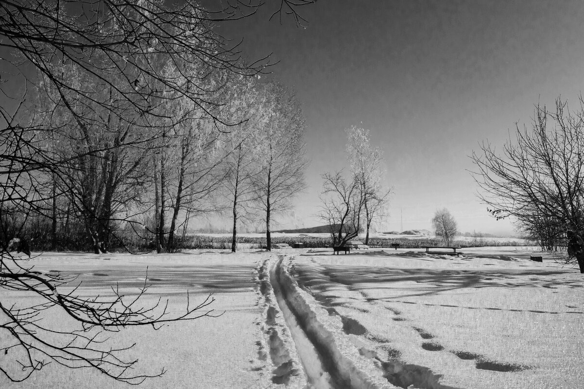 Дорога к озеру. - Николай 