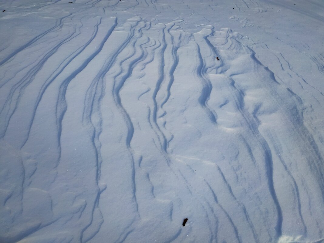 Просто снег - Андрей Лукьянов
