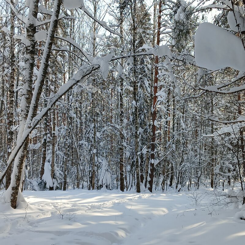 площадка снега - Владимир 