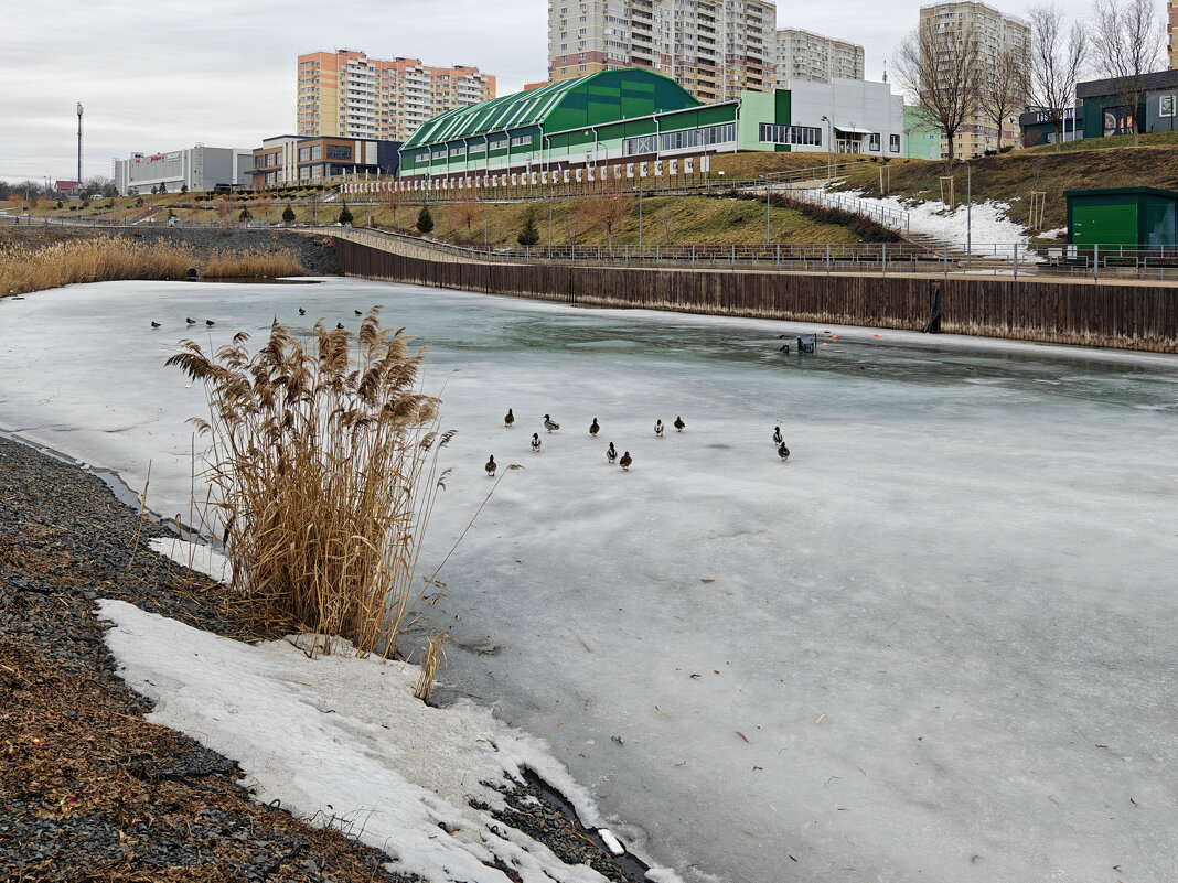 Ростовские зарисовки - Александр Гапоненко