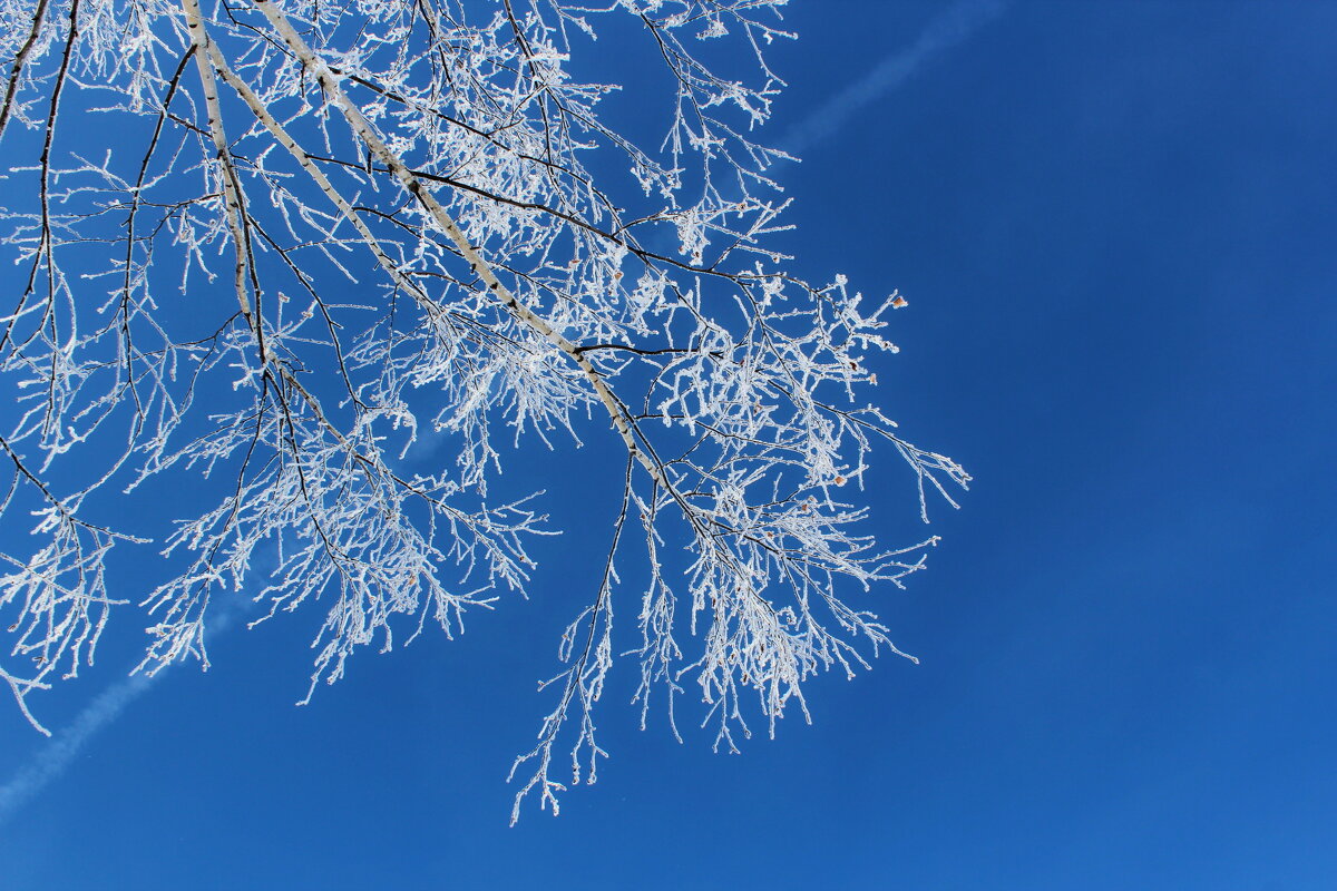 Февральское небо - Марсель Валеев