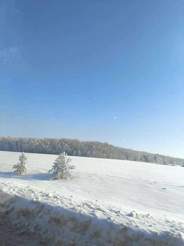 Придорожный пейзаж - Ирэн 