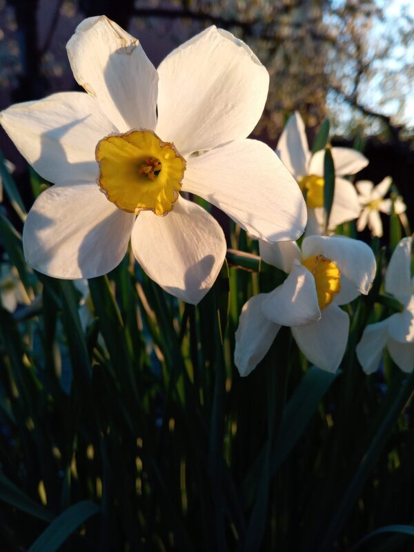 Скоро весна - Татьяна Пальчикова