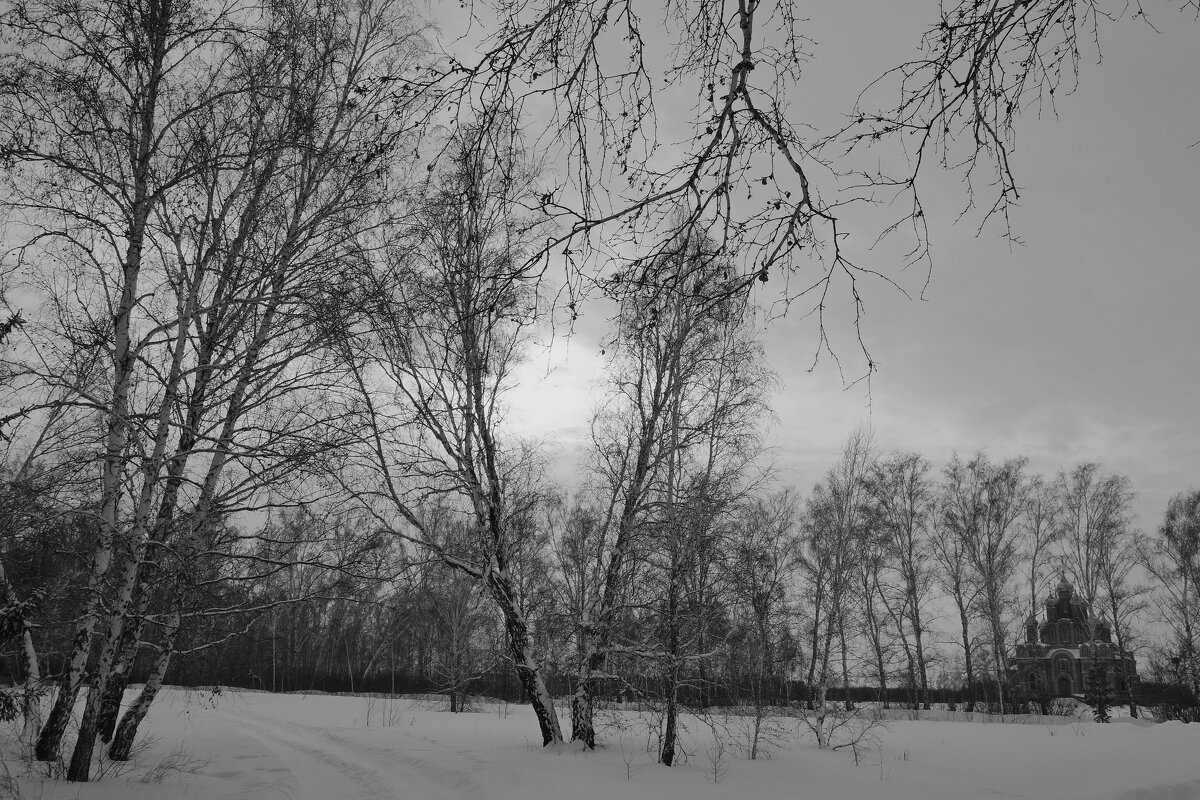 Зимнее утро - Нэлли Обертынская Зимнее утро - Нэлли Обертынская