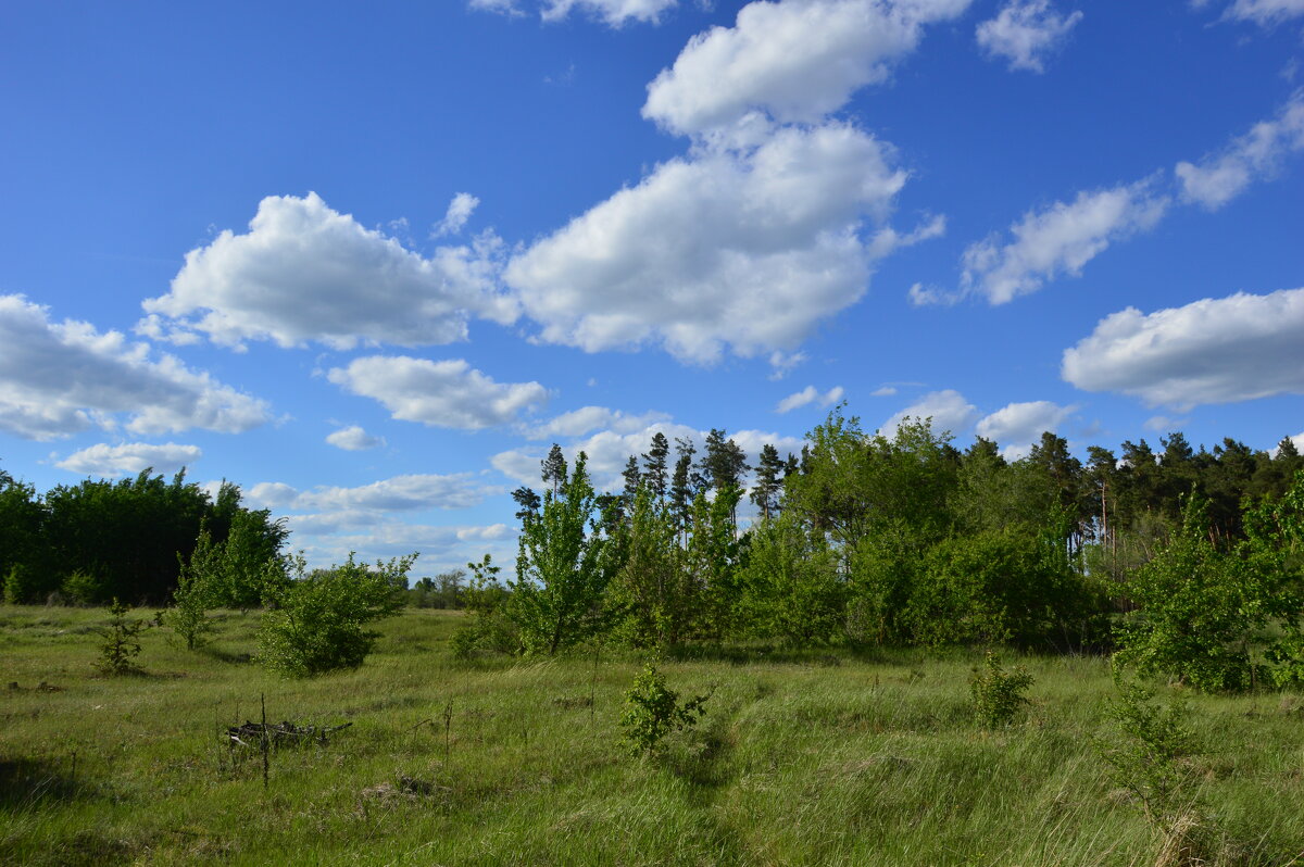 Донские зарисовки. - Виктор Донские зарисовки. - Виктор