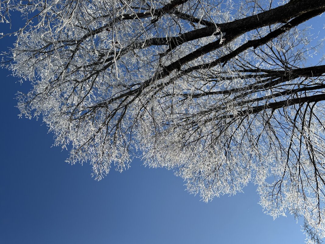 Февральская лазурь - Ольга Савельева 