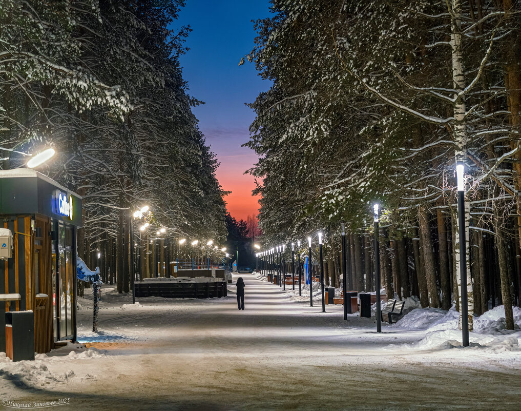 Ухта. Зимний вечер в Детском парке. - Николай Зиновьев