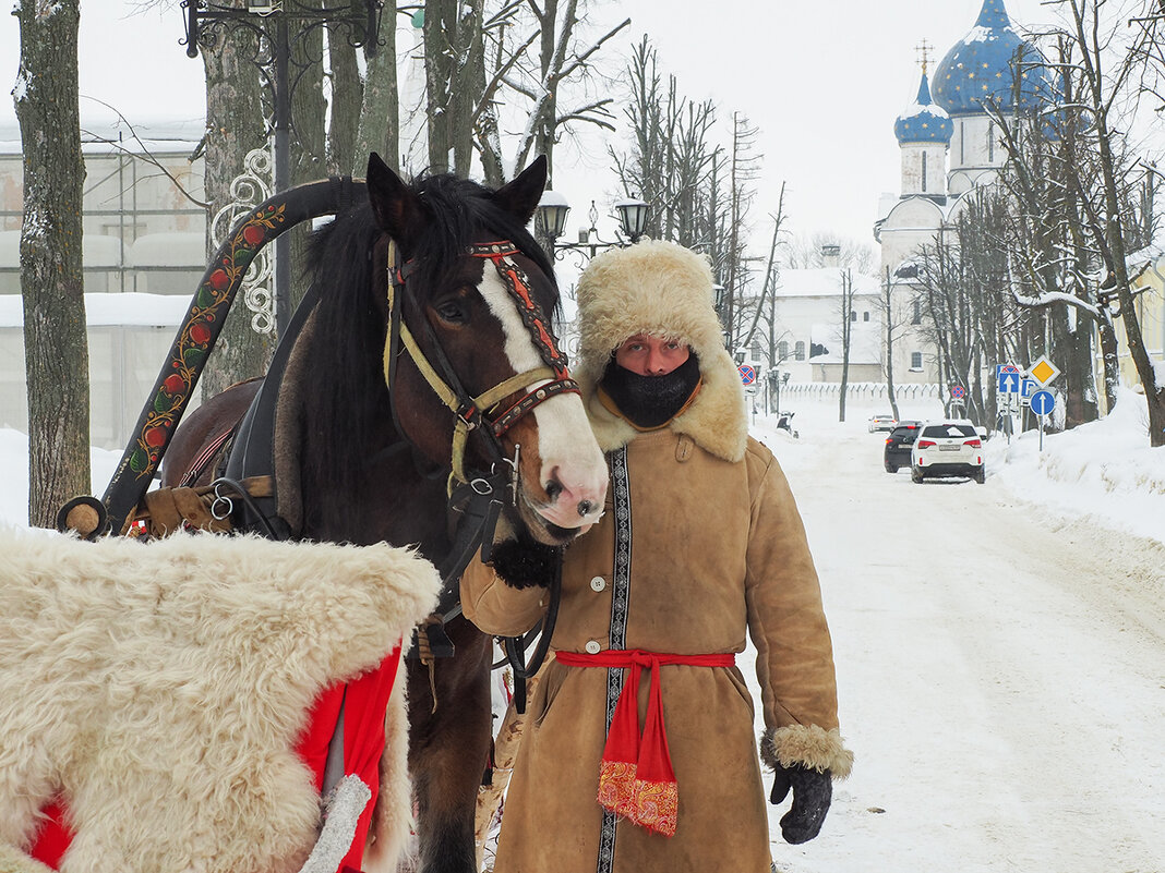 Суздальский портрет - Валерий Гришин