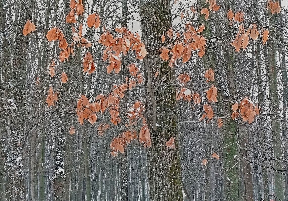 Интересное рядом! - Валентина  Нефёдова 