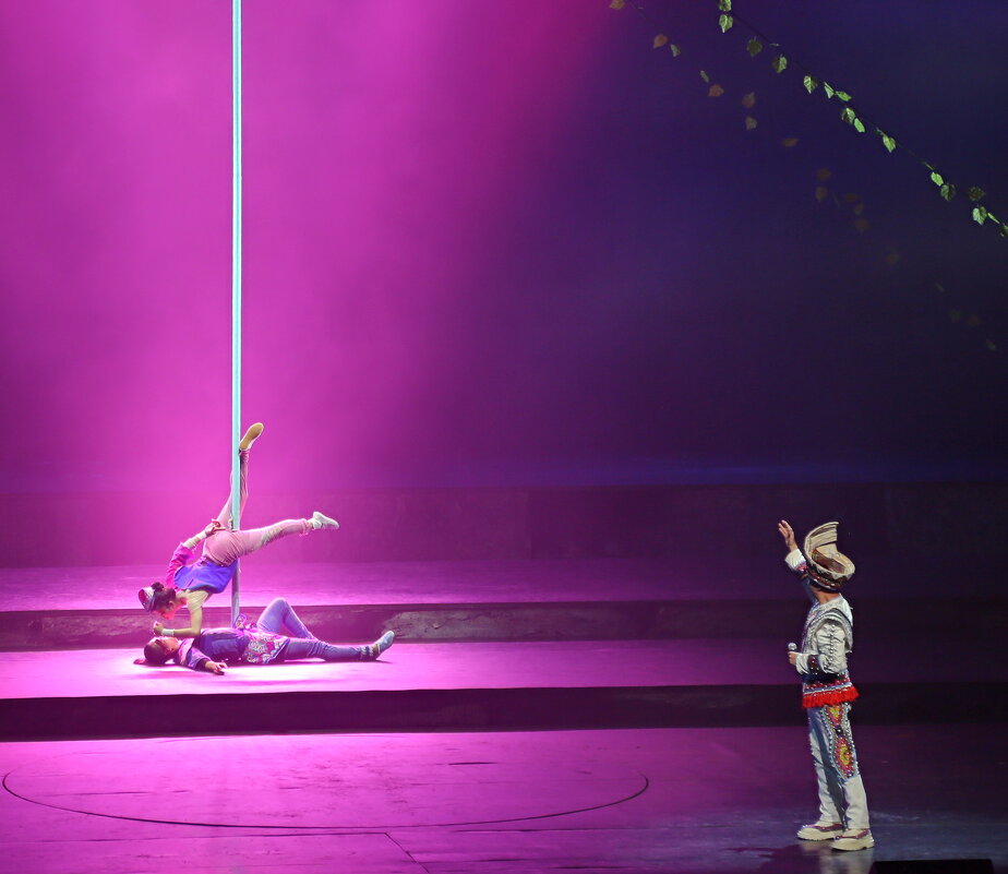 Китайский цирк... - Andrey Bragin 