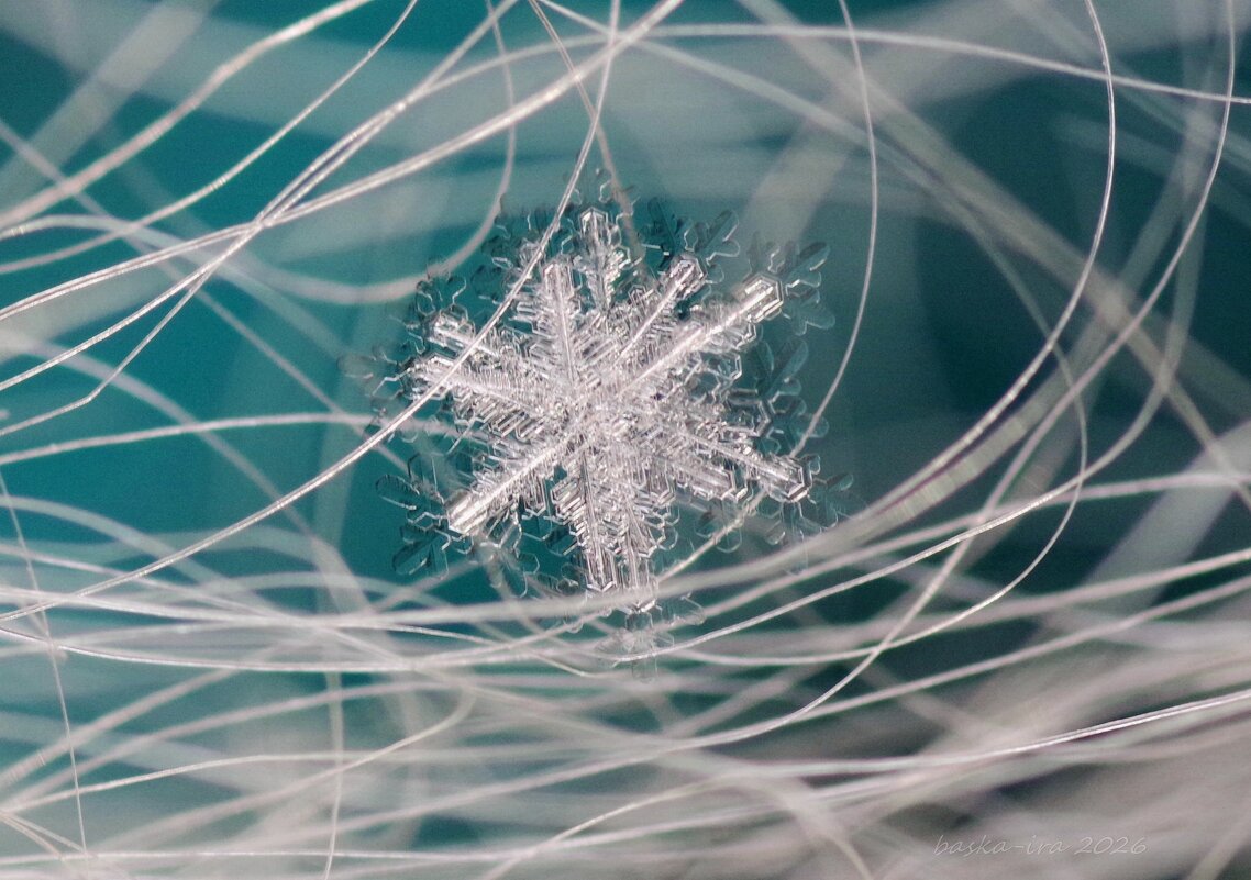 Волшебная снежинка - Ирина Баскакова