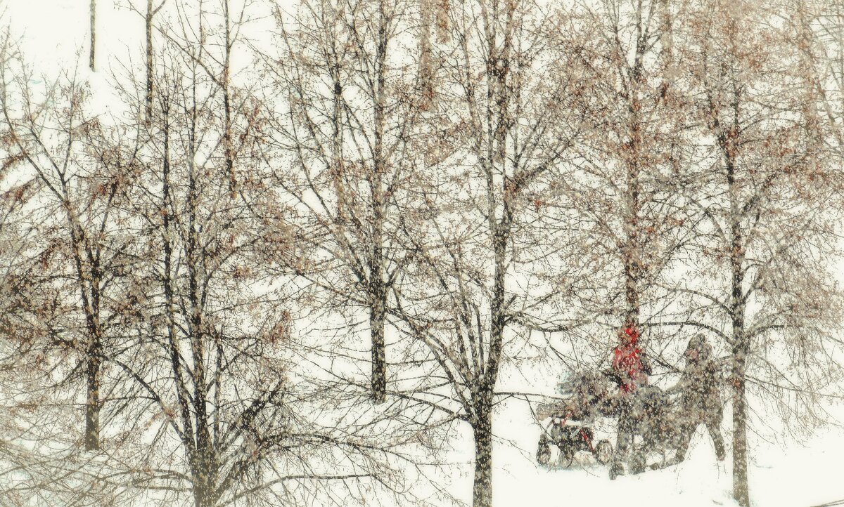 Москву накрыл самый мощный снегопад с начала зимы. - Татьяна Помогалова