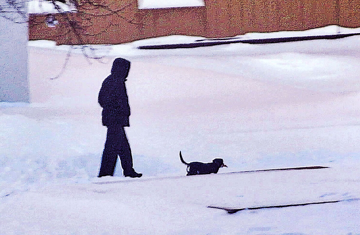 Февраль..С песиком по бульвару! - Владимир 