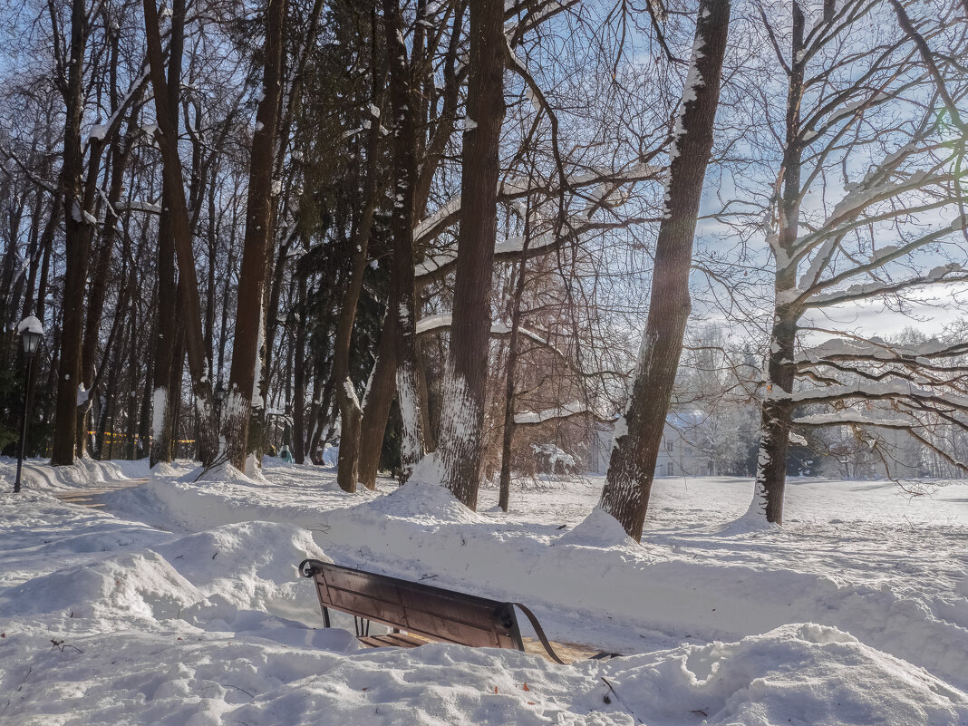 Ясный день. - Николай 