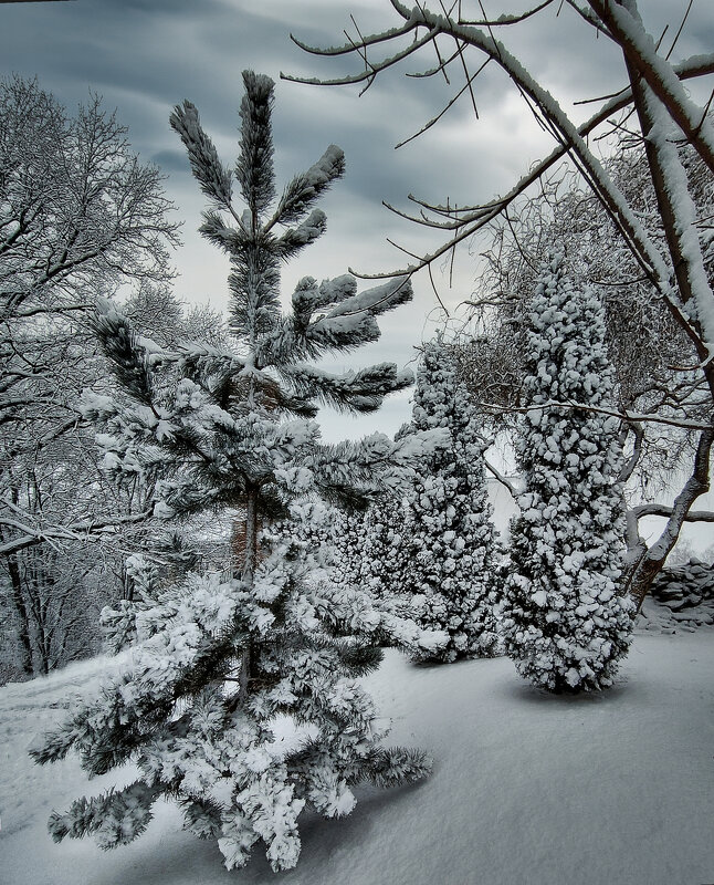 Зимний пейзаж ... - Ravile 