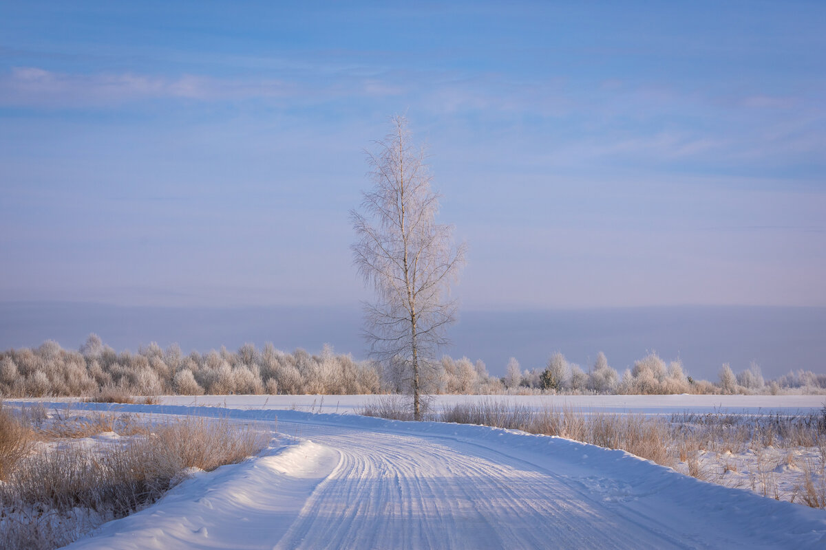 **** - Елизавета .