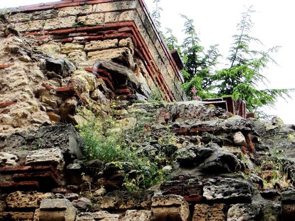 Травой поросло… - Натали 