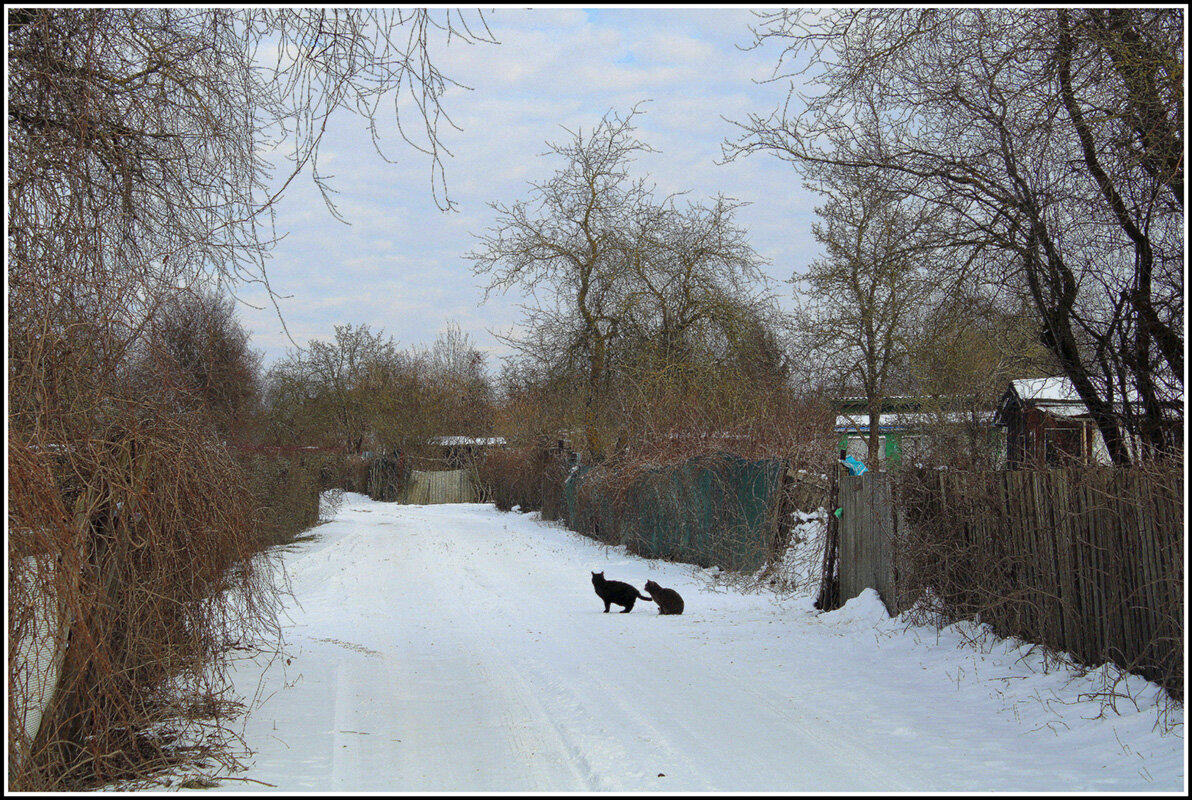Забыли. забрать... - Aleksandr Gal