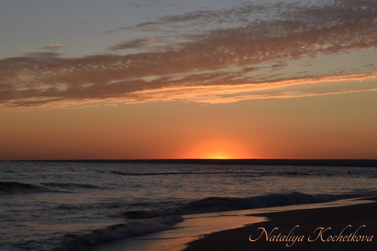 Природа Крыма - Amazing Cosmea Природа Крыма - Amazing Cosmea