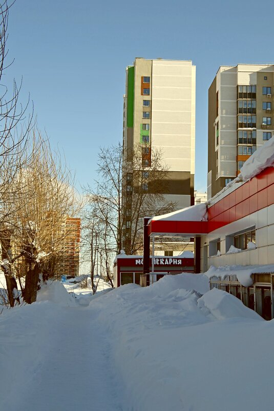 Тропа к продуктам. - ВикТор Быстров