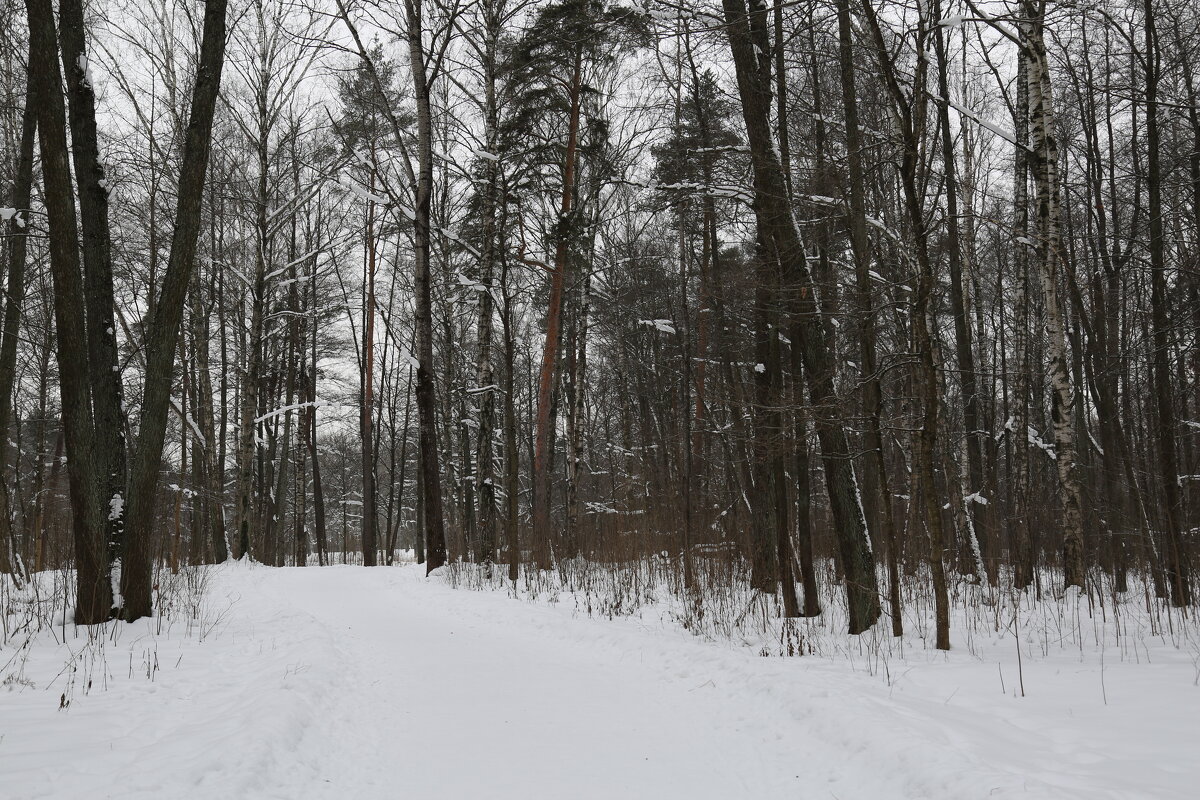 Тихая тишина... - Танзиля Завьялова