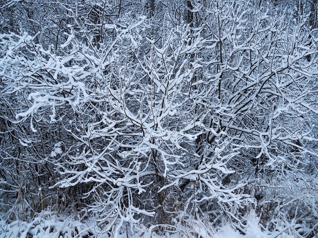 Утро после снегопада 3 - Мария К.