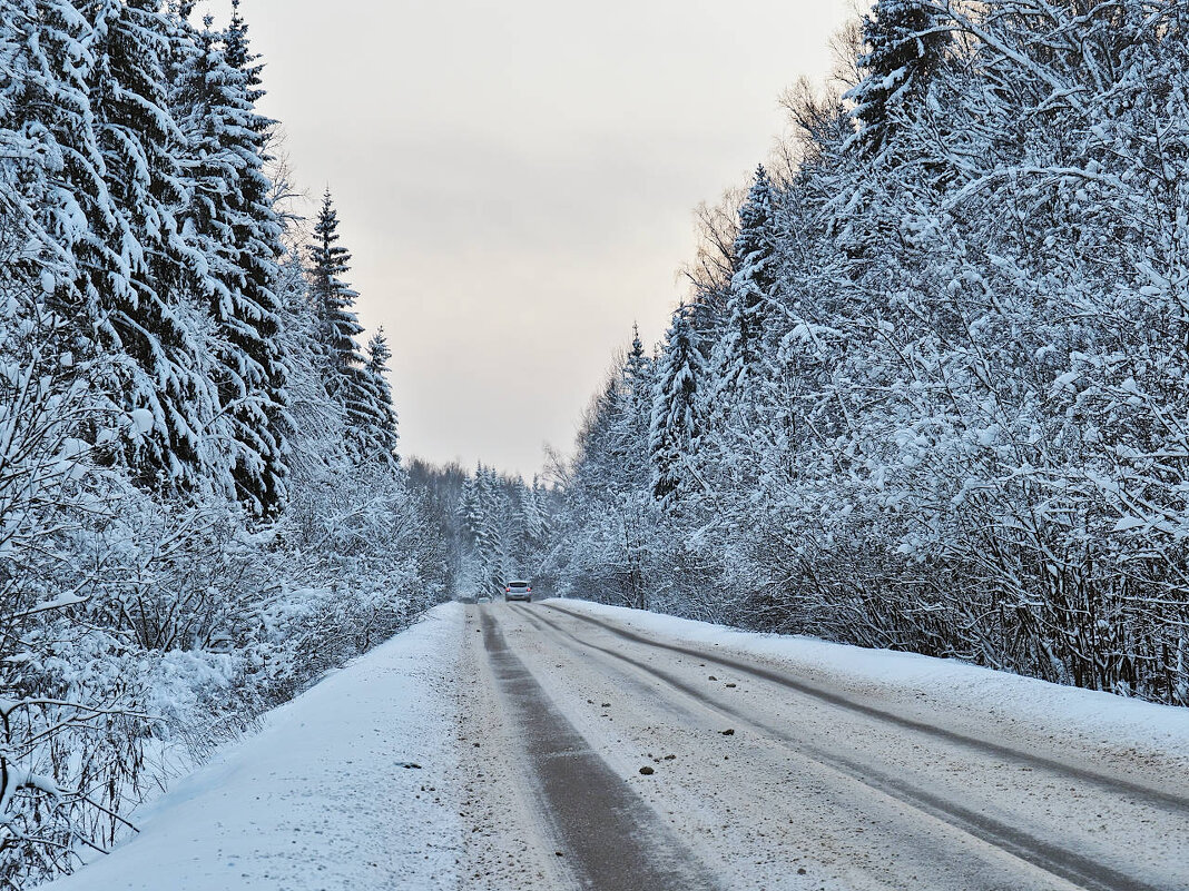 Дорожное фото - Мария К.