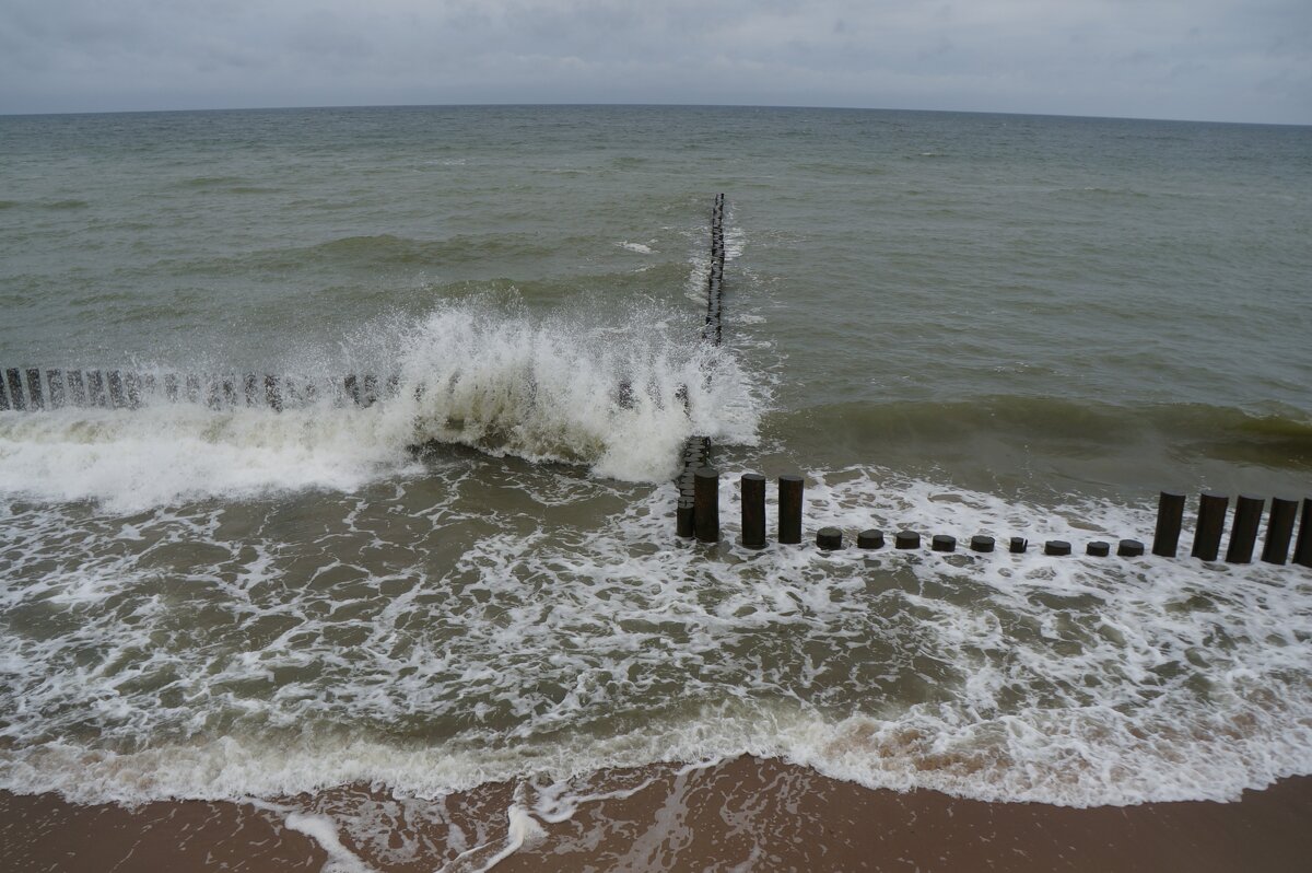 ||||||| ~~~~ - Алёна Савина