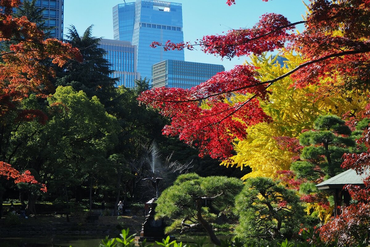 В саду Токио - Civetta ***