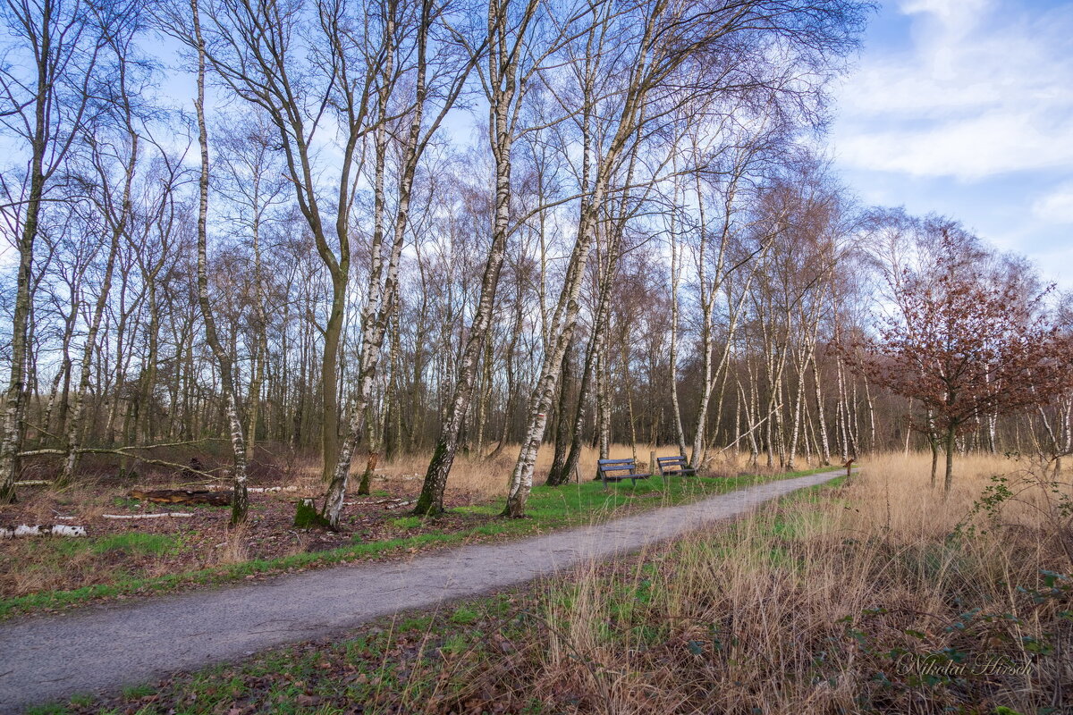 Время отдыха... - Николай Гирш Время отдыха... - Николай Гирш