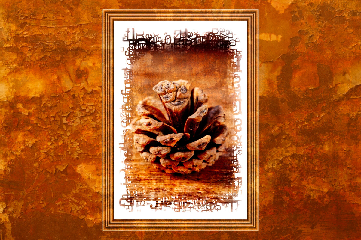 (°-°) - Jakob Dick