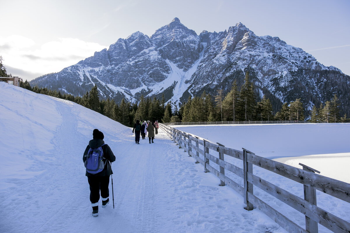 ** - Александр Липовецкий