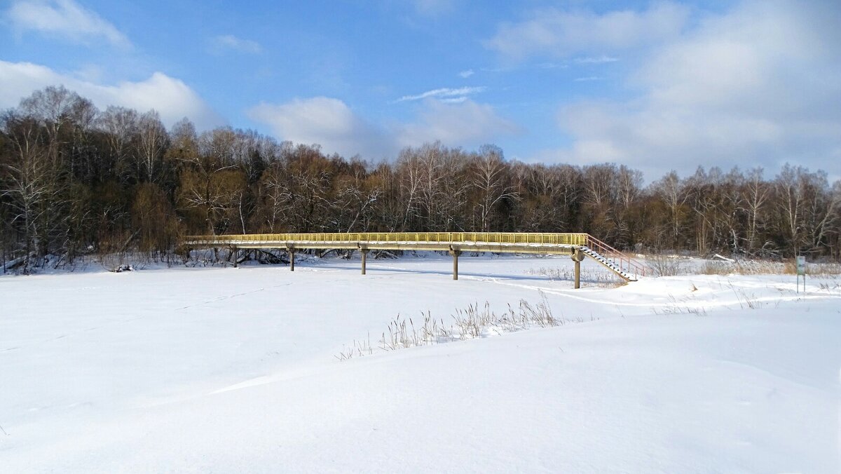 Пейзаж с мостом. - Милешкин Владимир Алексеевич 