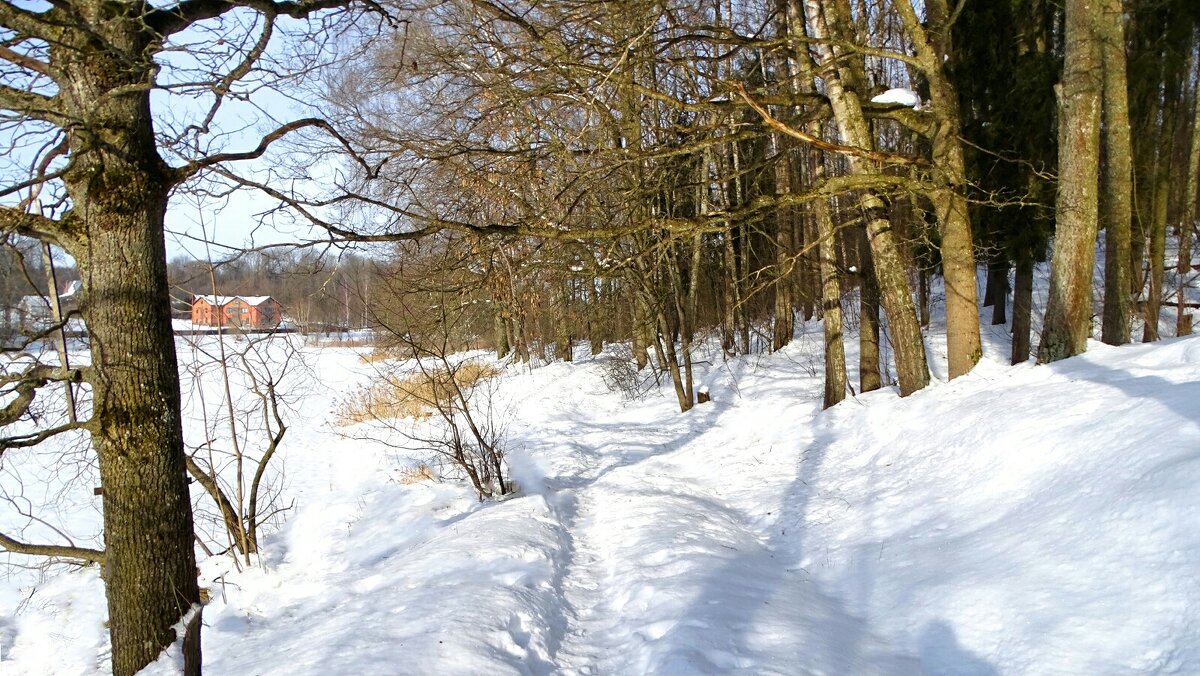 Тропинка рыбаков по озёрному берегу. - Милешкин Владимир Алексеевич 