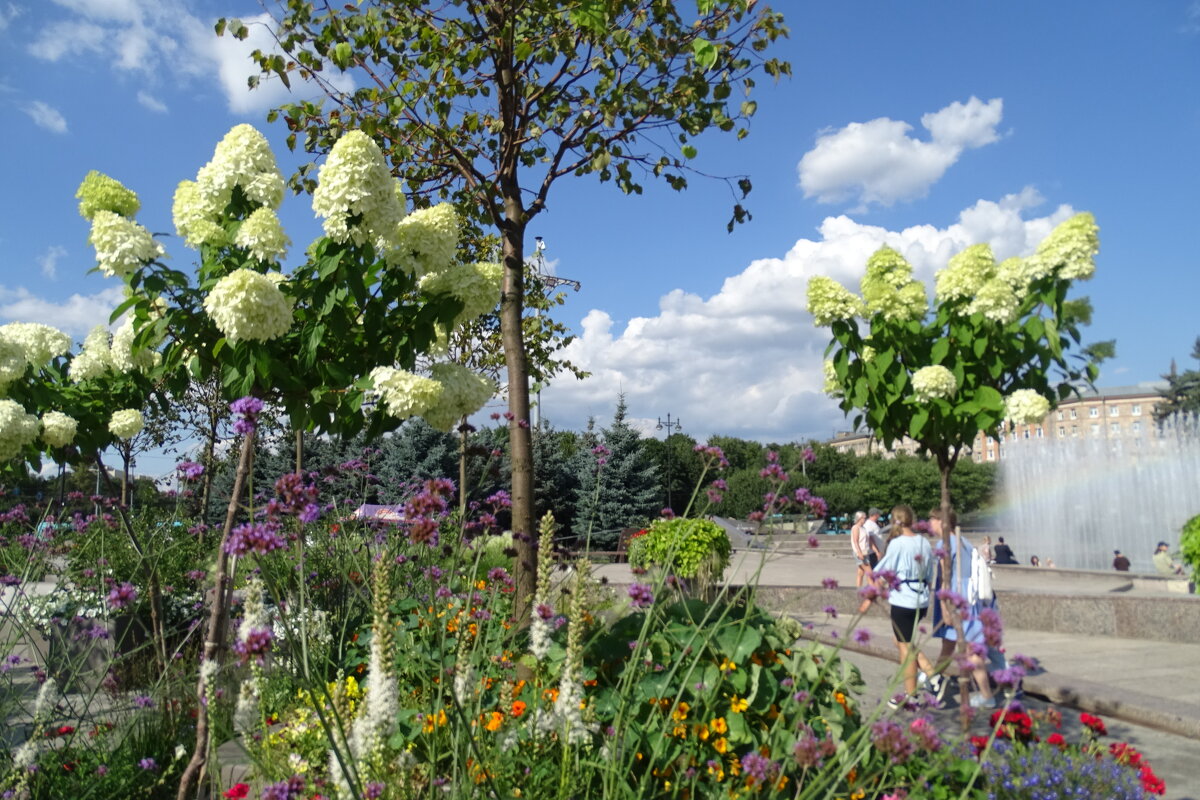 Московская площадь летом - Anna-Sabina Anna-Sabina Московская площадь летом - Anna-Sabina Anna-Sabina