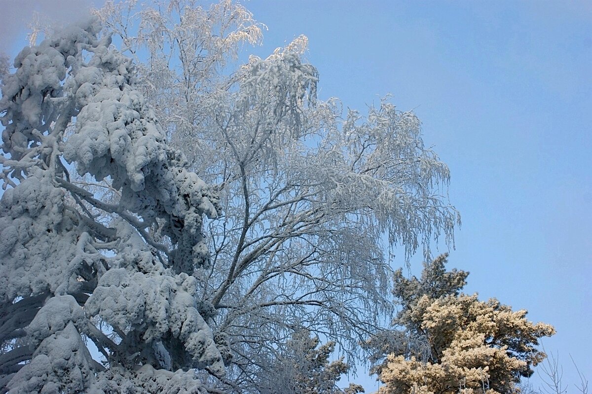 В городском парке - Галина Нестратова