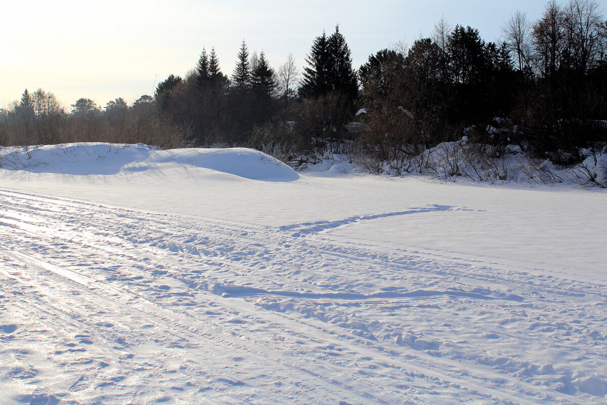Наш берег. Река Иня, - малые реки Сибири - Татьяна Лютаева